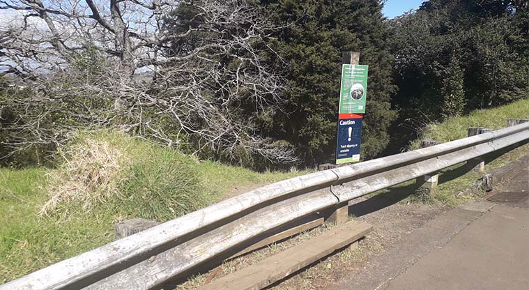 Coast to Coast Path (Grafton to Maungakiekie) – Cross over the barrier to get onto the track that leads to Owens Road.